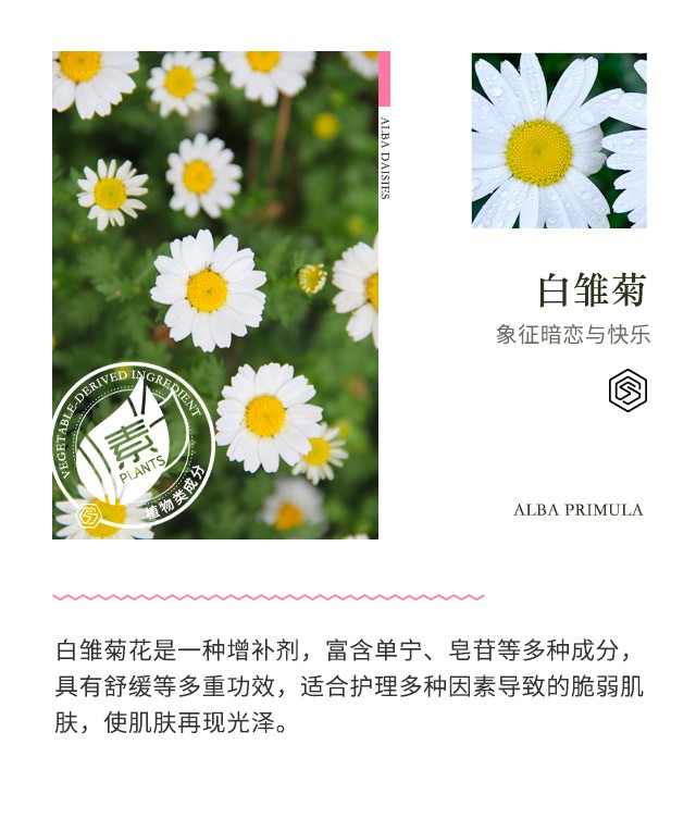 SUMMITYLE素密肽 幸福水二代新版 150ml