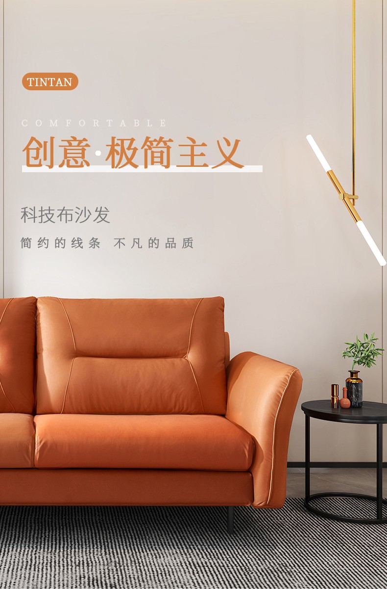 天坛家具 沙发 意式轻奢免洗科技布沙发后现代风格客厅港式极简组合ins家具 三人双扶