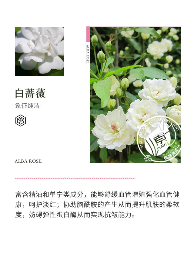 SUMMITYLE素密肽 幸福水二代新版 150ml