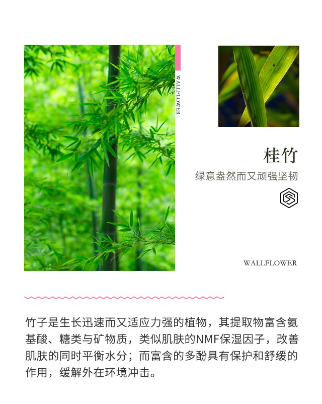 SUMMITYLE素密肽 幸福水二代新版 150ml