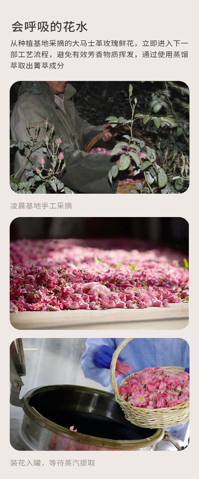 伊帕尔汗 eprhan福瑞达 爽肤水化妆水 补水保湿 纯露 玫瑰纯露500ml