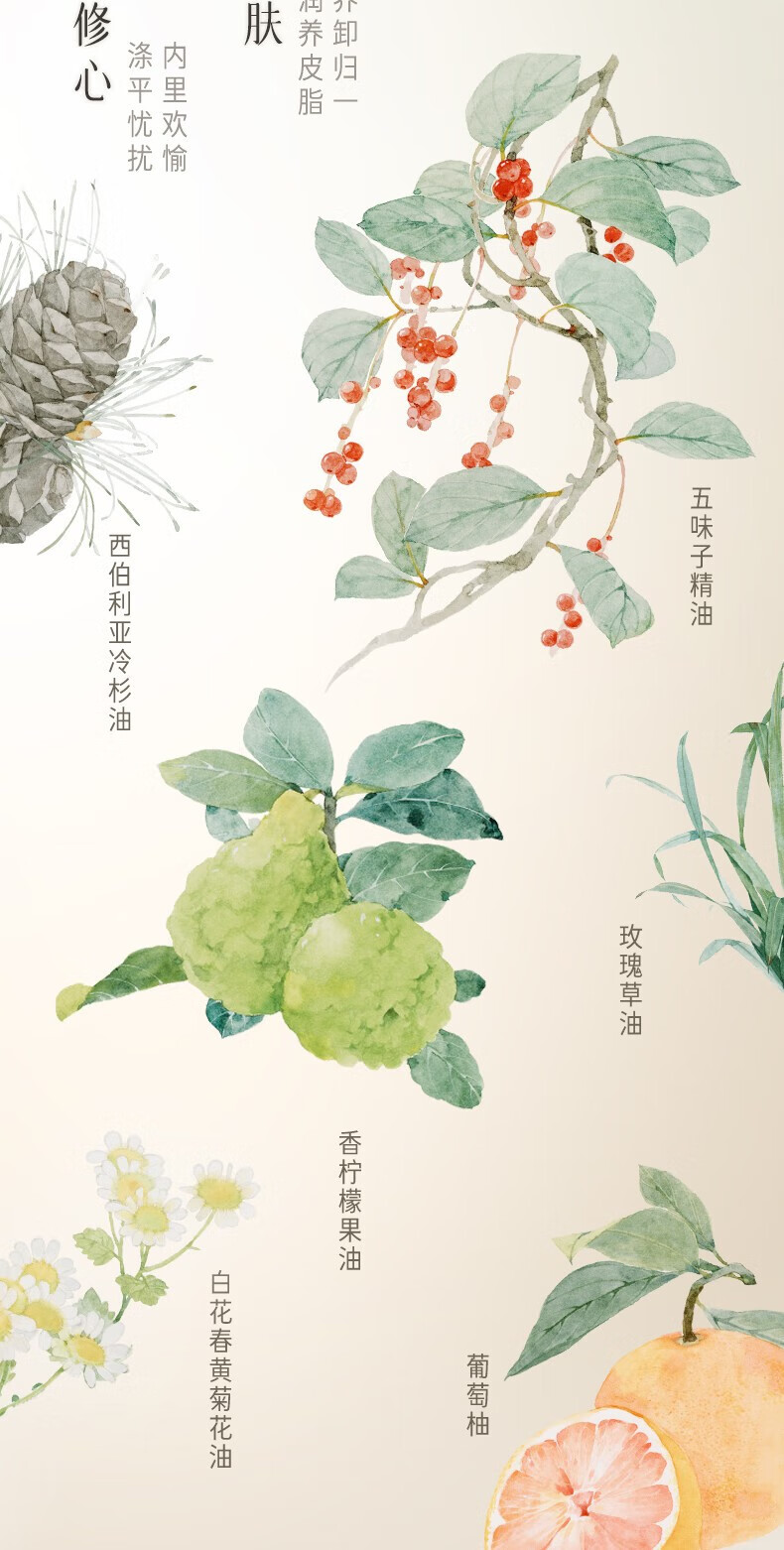 逐本卸妆油5代清欢眼唇脸部卸妆水洁颜油温和敏感肌干油皮卸妆男女 【5代清欢】水感卸妆油150ml