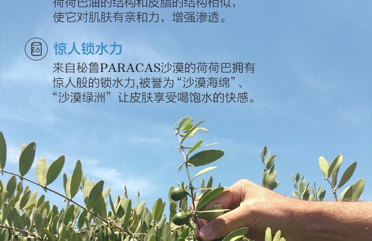 阿芙（AFU） 荷荷巴护肤礼盒水乳护肤品套装男女士爽肤水乳液化妆品补水保湿 荷荷巴水嫩礼盒