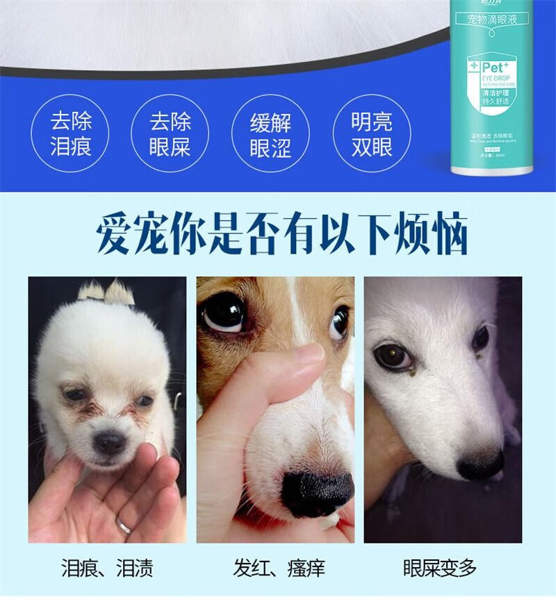 5，狗狗滴眼液狗狗去淚痕寵物貓咪狗狗洗眼液狗狗淚痕眼屎多流淚發炎滴眼液 5盒裝【愛寵人士選擇】