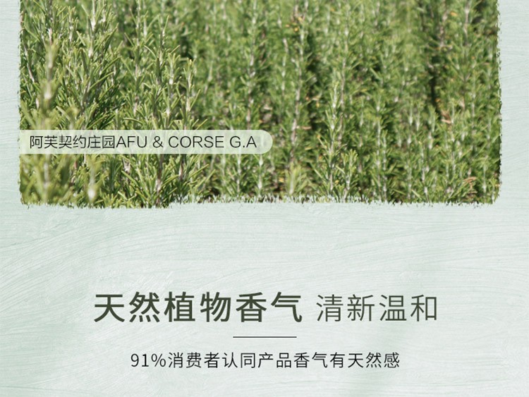 阿芙（AFU）马鞭草酮迷迭香纯露爽肤水马迷改善闭口收缩毛孔补水保湿收敛水 马迷纯露125+300+300