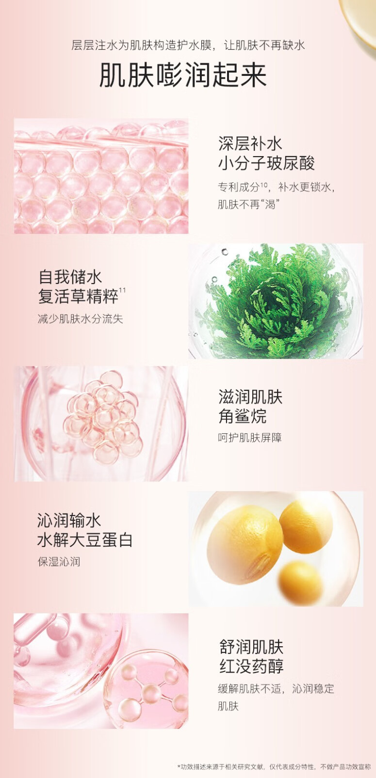 HKH小金豆山茶花次抛胶囊精华液胎盘素抗皱紧致金胶粉胶小鸡腿早c晚a 【早C晚A】虾青素+胶原蛋白