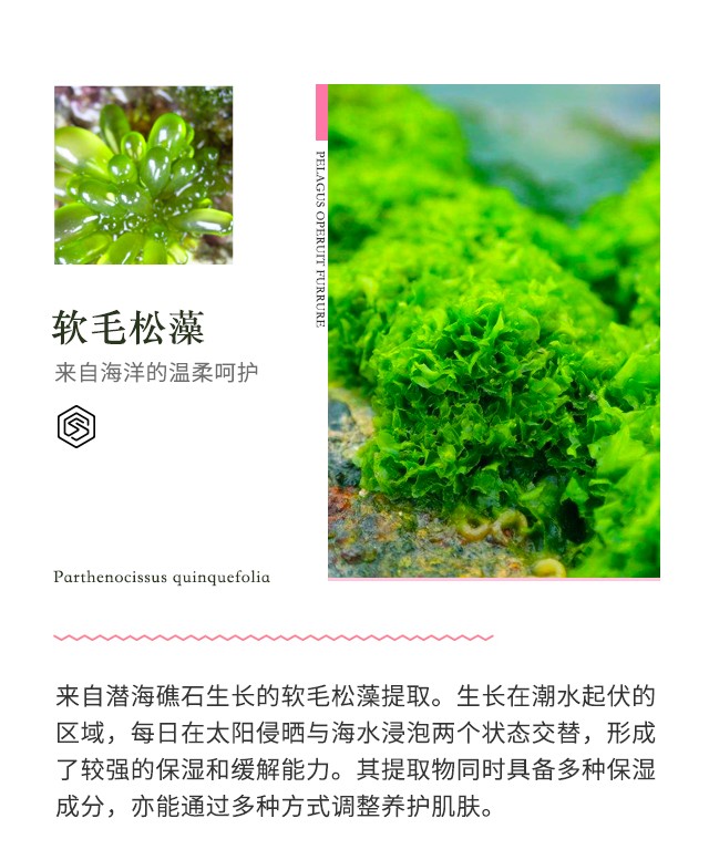 SUMMITYLE素密肽 幸福水二代新版 150ml