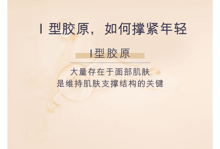 雅诗兰黛（Estee Lauder） 多效智妍精华乳霜（胶原霜乳霜款）-推广 75ml套组