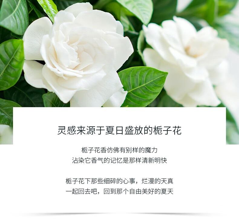C2U 鎏沙金香水香味清新持久淡香斩男香50ml平价七夕生日礼物栀子花 可可小姐香水