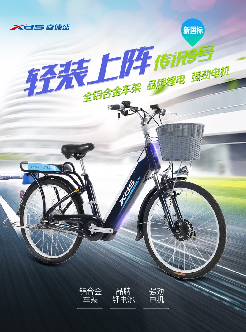 喜德盛xds电动自行车48v传说9号锂电池铝合金通用代步电瓶助力车新
