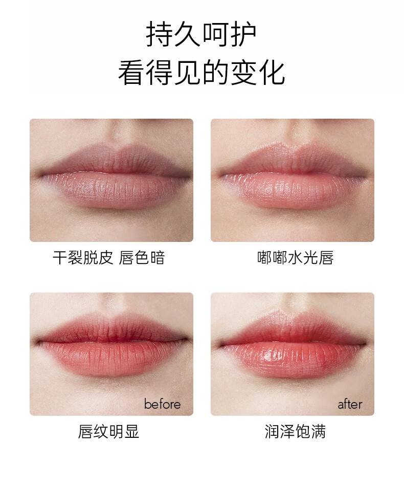 RYDEEN 植物精油润唇膏补水保湿滋润防干裂淡化唇纹唇色无色唇膏4.5g 5支装 精油润唇膏