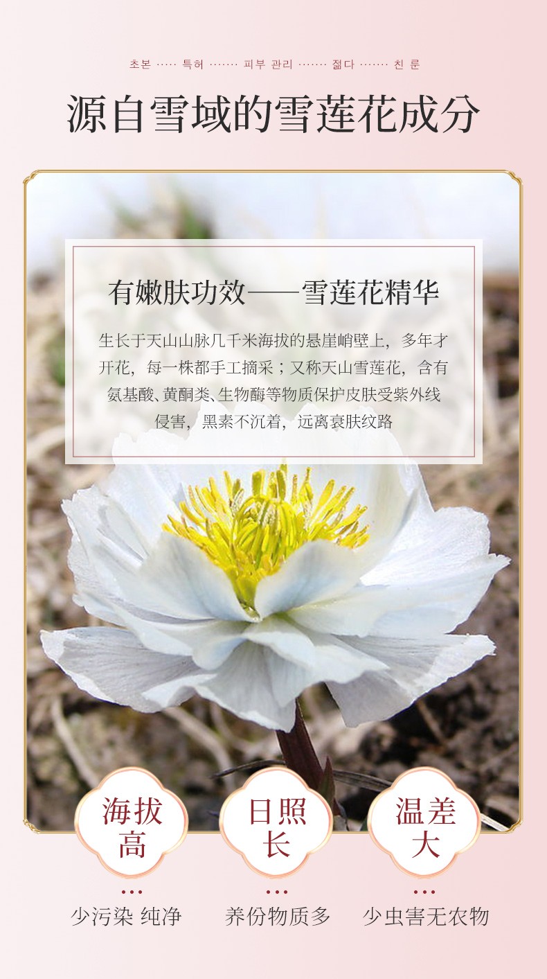 韩美肌（Hanmeiji）雪莲花秘润沁肤凝颜补水保湿紧致护肤化妆品套装 【活动款】雪莲花六件套