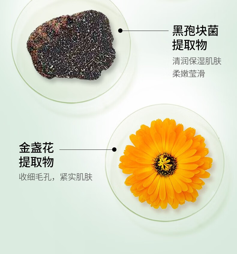 肌琳莎甘菊护手霜女大瓶防干裂滋润保湿手裂足裂夏秋冬春四季可用250g