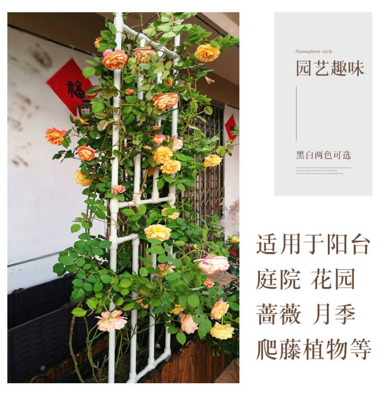 花架爬藤架拱门沙宝石蔷薇花月季庭院户外架子葡萄架白色花架庭院装饰