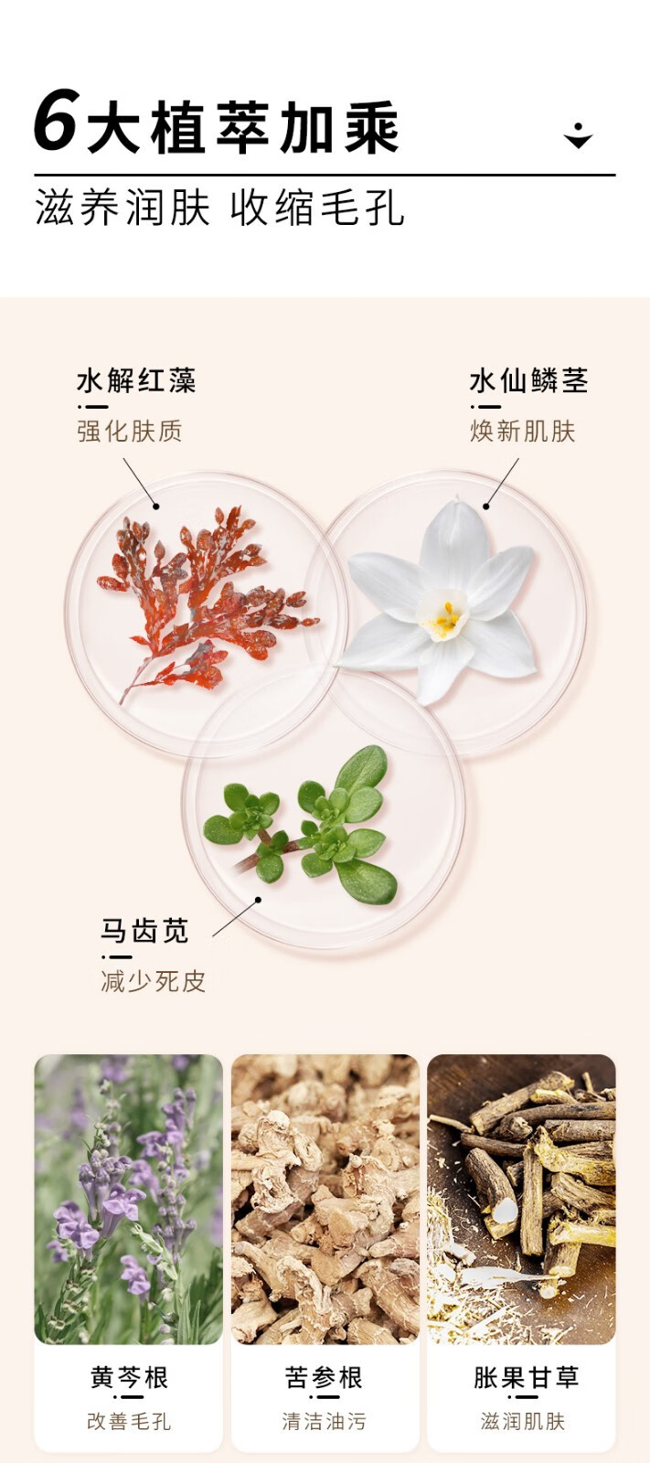 仁和药业氨基酸洗面奶植物复合除螨洗面奶男女祛螨虫控油祛痘二裂酵母收缩深层清洁毛孔黑头补水保湿洁面乳 仁和匠心植物洗面奶二酵母水乳组合套装