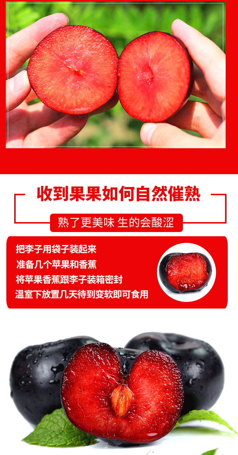 陕西红布林李子黑皮红肉风味玫瑰李现摘现发孕妇时令新鲜水果血丝李