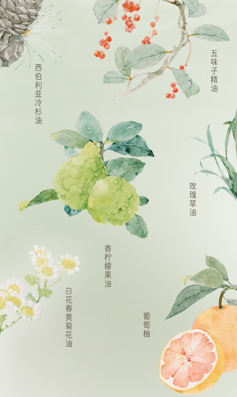 逐本卸妆油清欢5代水感洁颜油眼唇卸温和敏感肌干油皮【瓶装带防伪】 【4代森韵】正装150ml+补充150ml