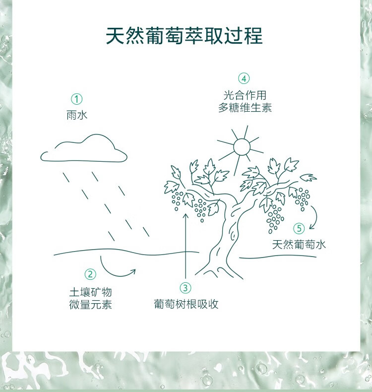 欧缇丽（Caudalie） 葡萄水保湿舒缓喷雾 300ml套组