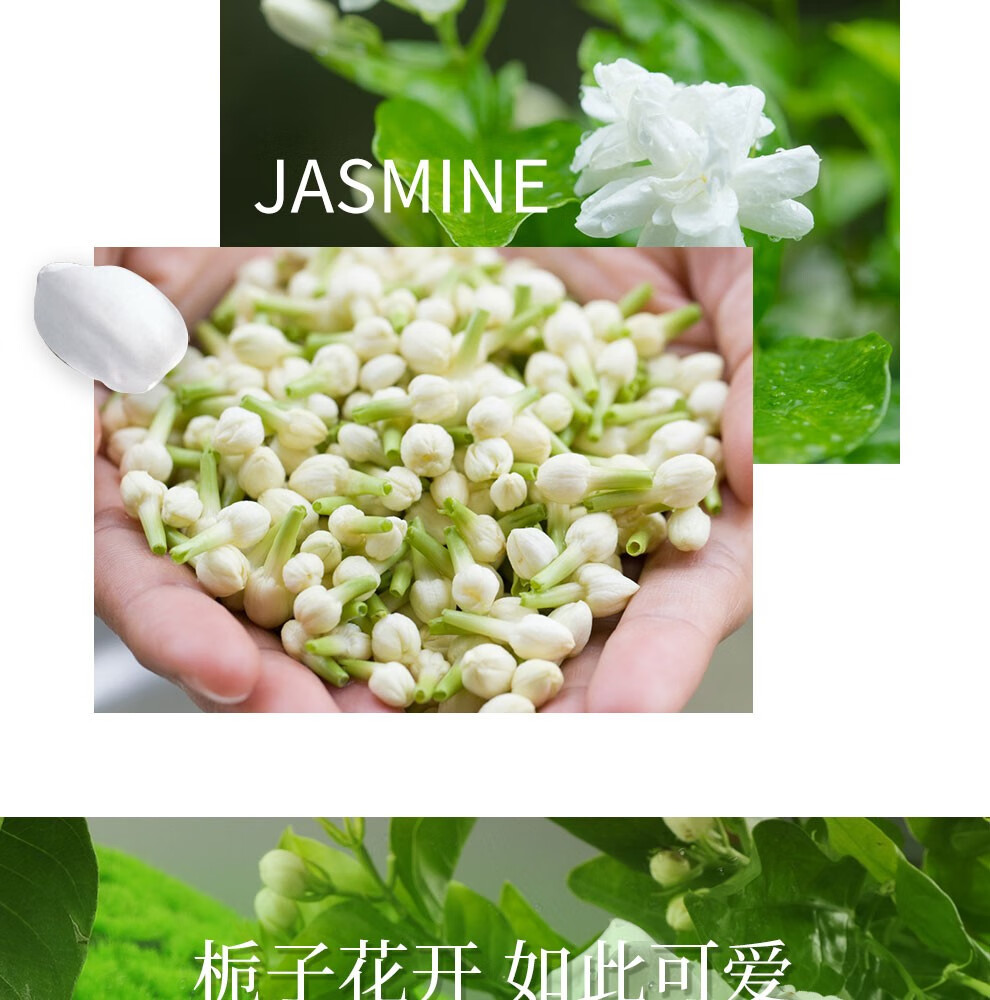 娜赛儿（LASTAR）【法国香水品牌】女士香水精品礼盒栀子与茉莉香水清新香送女友 栀子与茉莉 35ML