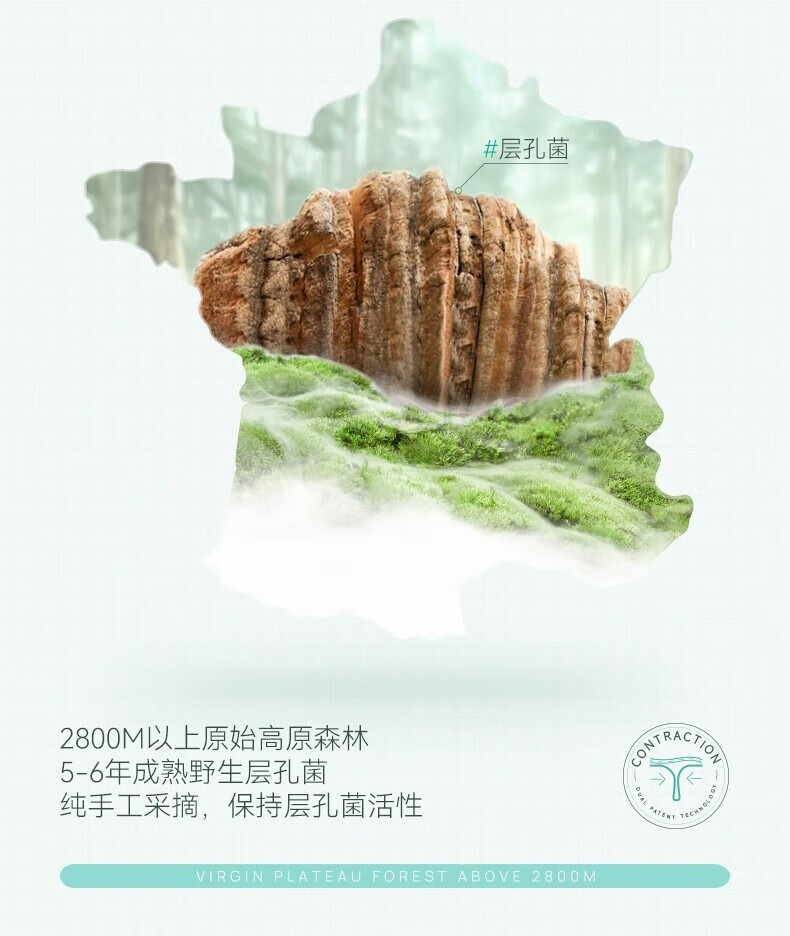 效妆保湿控油精华喷雾补水收缩毛孔粗大修复细致精华液护肤水 一瓶装【115ml/瓶】