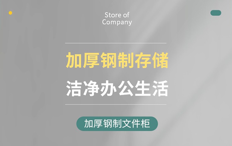 文件柜子铁皮柜玻璃储物柜带锁保险保密柜会计人事财务凭证账本档案柜落地抽屉柜钢制办公柜子文件资料工具柜 大器文件柜 【经济款】