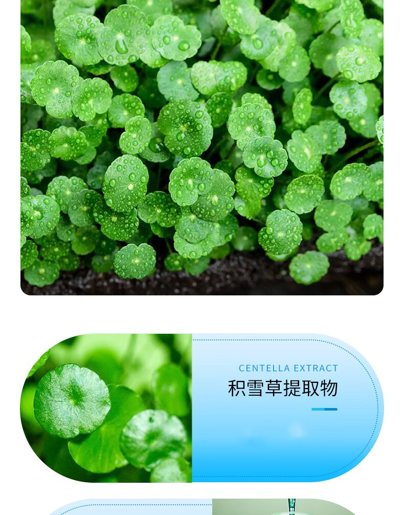 致朵（zhiduo）积雪草保湿补水喷雾150ml 三瓶装 150ml