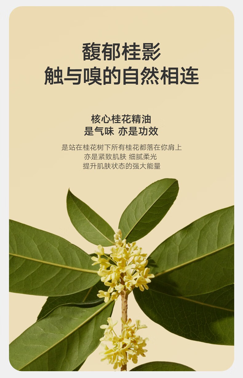 雏菊的天空（DAISY SKY） 桂影慕兰紧致精华油轻薄滋润肌肤细腻毛孔面部精华双抗精华补水 15ml
