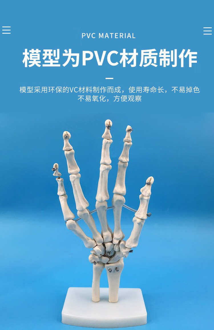 人体手骨模型手关节附韧带模型手指骨骼模型手骨解剖手掌骨可弯活动