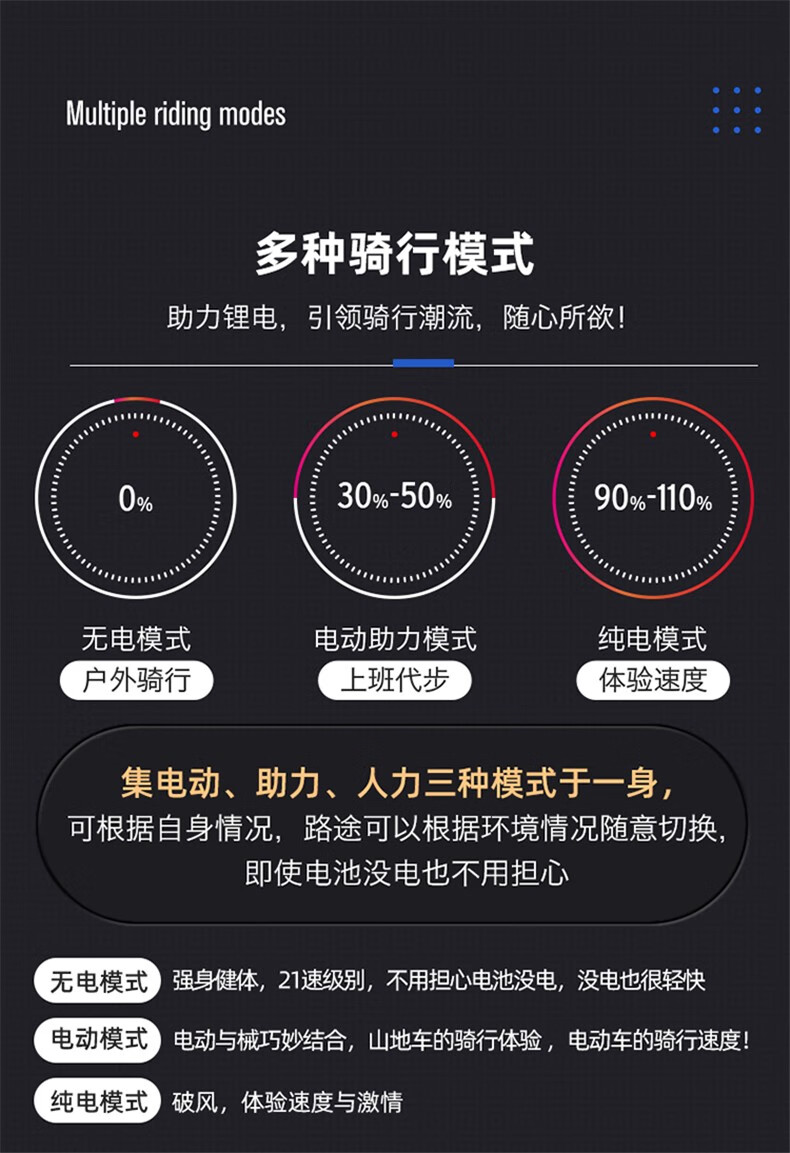 电瓶车锂电池_PHOENIX 凤凰 电动自行车 20寸 豪华版 TANK600