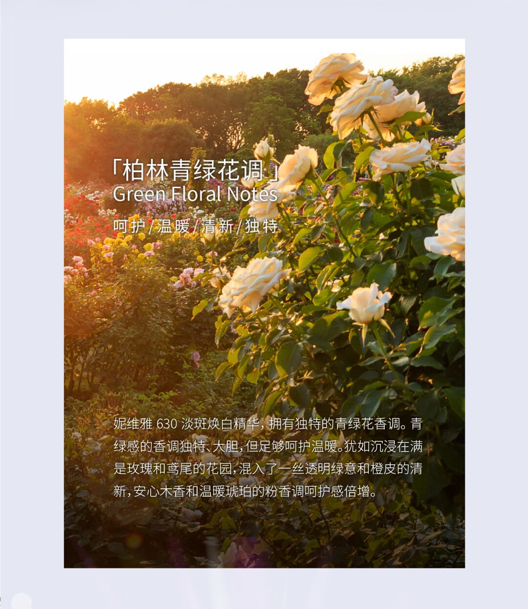 妮维雅（NIVEA）LUMINOUS630淡斑UV防晒精华乳SPF50 PA+++ C&E面部防晒15ml 淡斑UV防晒乳
