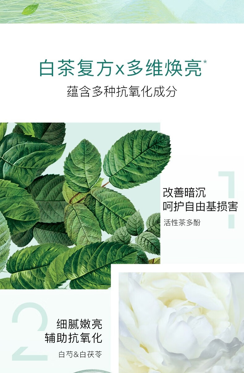 佰草集面膜 白茶玲珑睡眠面膜泥免洗涂抹式补水保湿细致毛孔护肤品 白茶玲珑睡眠面膜120g