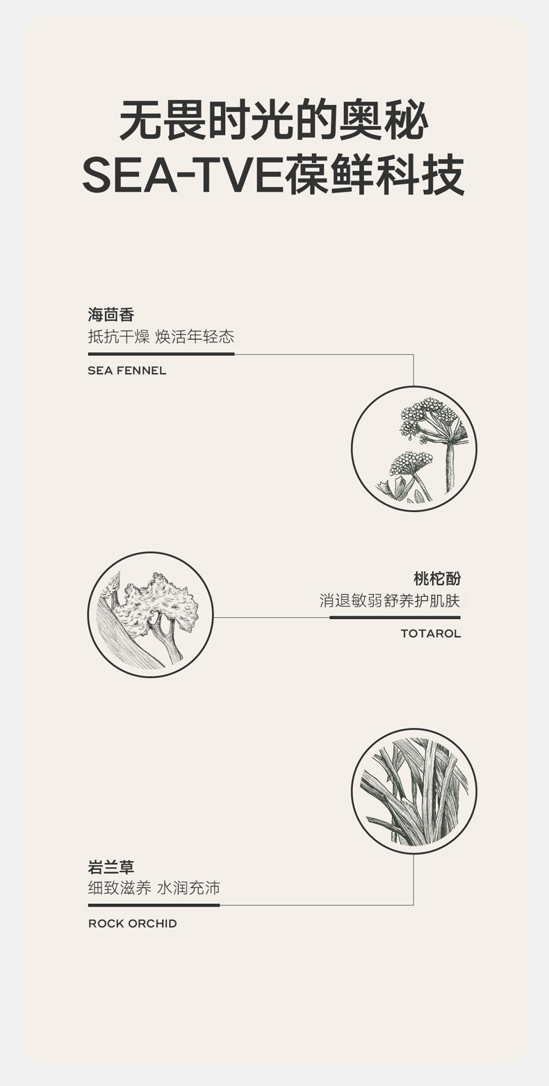 雏菊的天空（DAISY SKY）精华油早晚修护套组舒缓滋润提亮肌肤面部护肤品套装 翡冷翠15ml+桂影精华油15ml