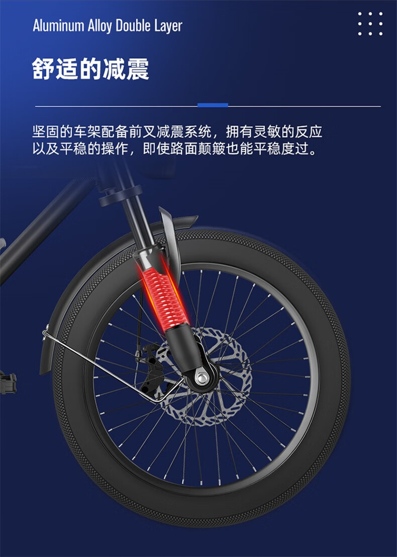 电瓶车锂电池_PHOENIX 凤凰 电动自行车 20寸 豪华版 TANK600