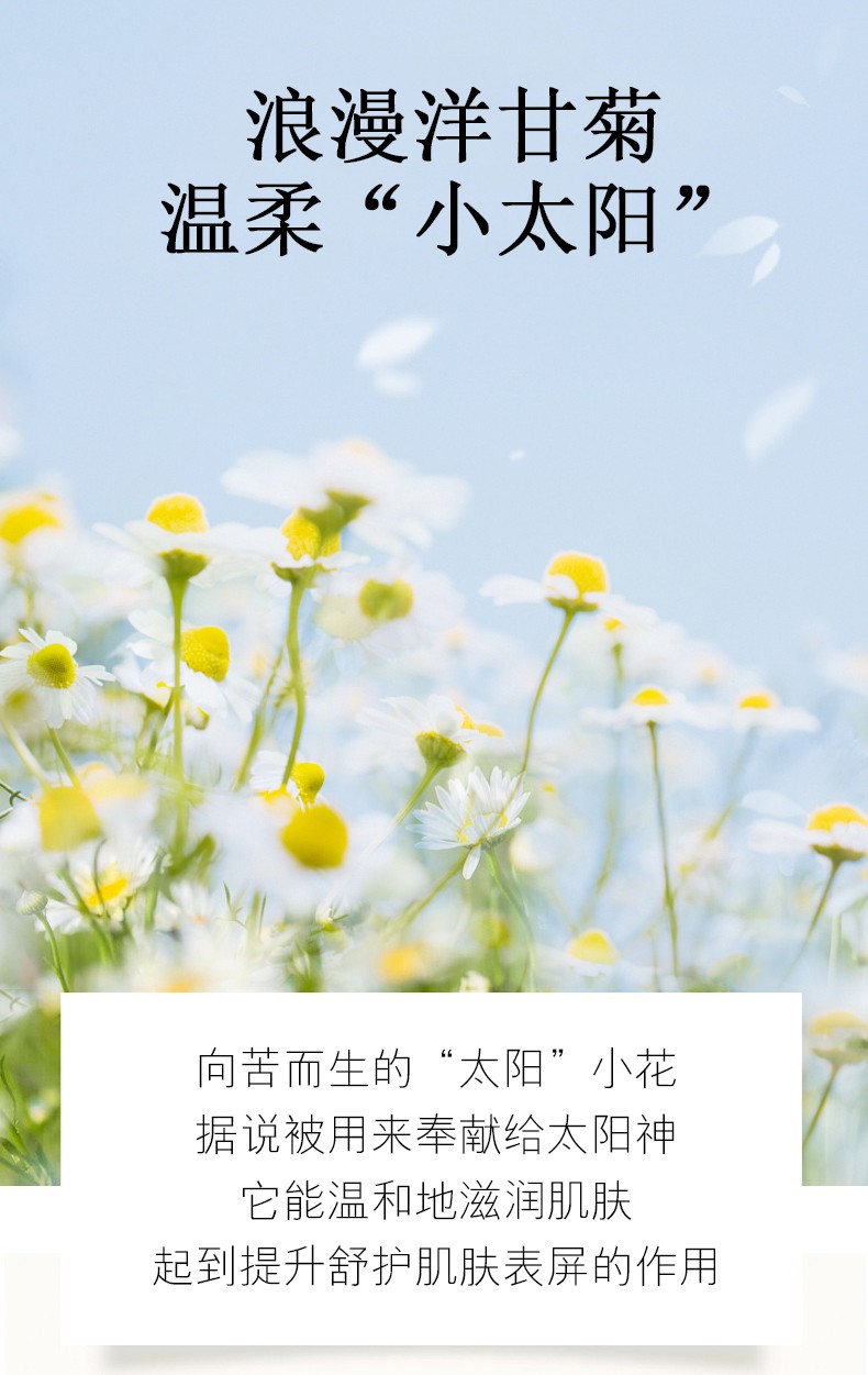 韩美素（Hanmeisu） 凡士林洋甘菊倍润护手霜防干裂脱皮保湿补水滋润秋冬男女士通用 凡士林洋甘菊护手霜250g/瓶
