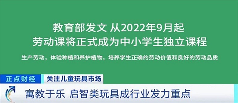 【超大八格】迷你种植阳光房儿童玩具十岁女孩生日礼物6-10岁DIY手工制作男孩学生科学实验阳光种植房 鲜花系列【向日葵/满天星/薰衣草/牵牛花】