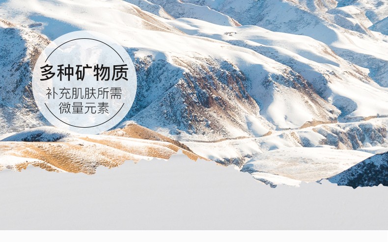 韩美臣清洁面膜涂抹式白泥膜清洁毛孔去黑头去白头粉刺提亮肤色男女通用 白泥清洁面膜100gX1盒