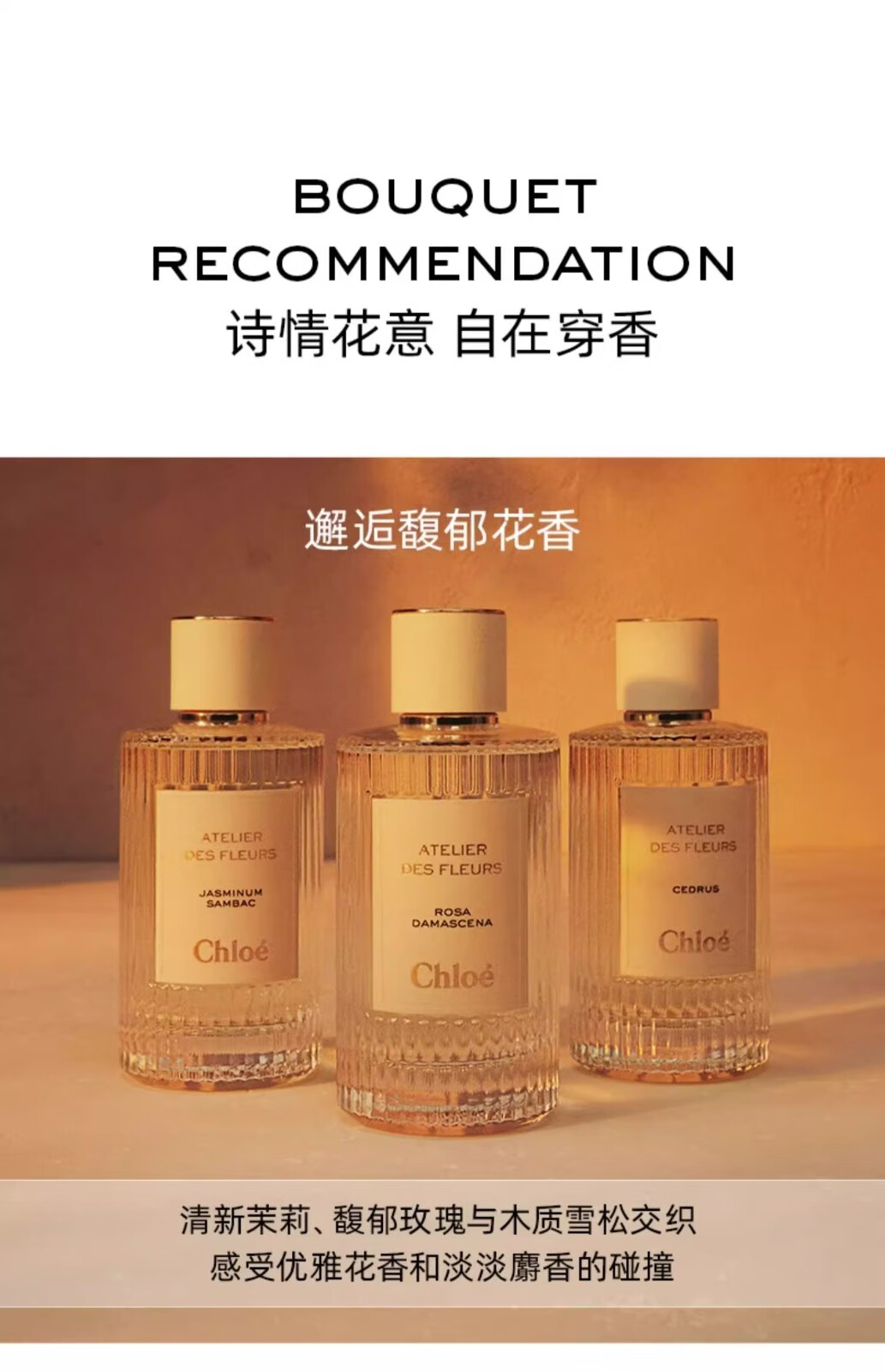 蔻依（Chloe）仙境花园系列香氛香水 持久留香 生日礼物送女友生日新年礼物 北国雪松女士香水 50ML
