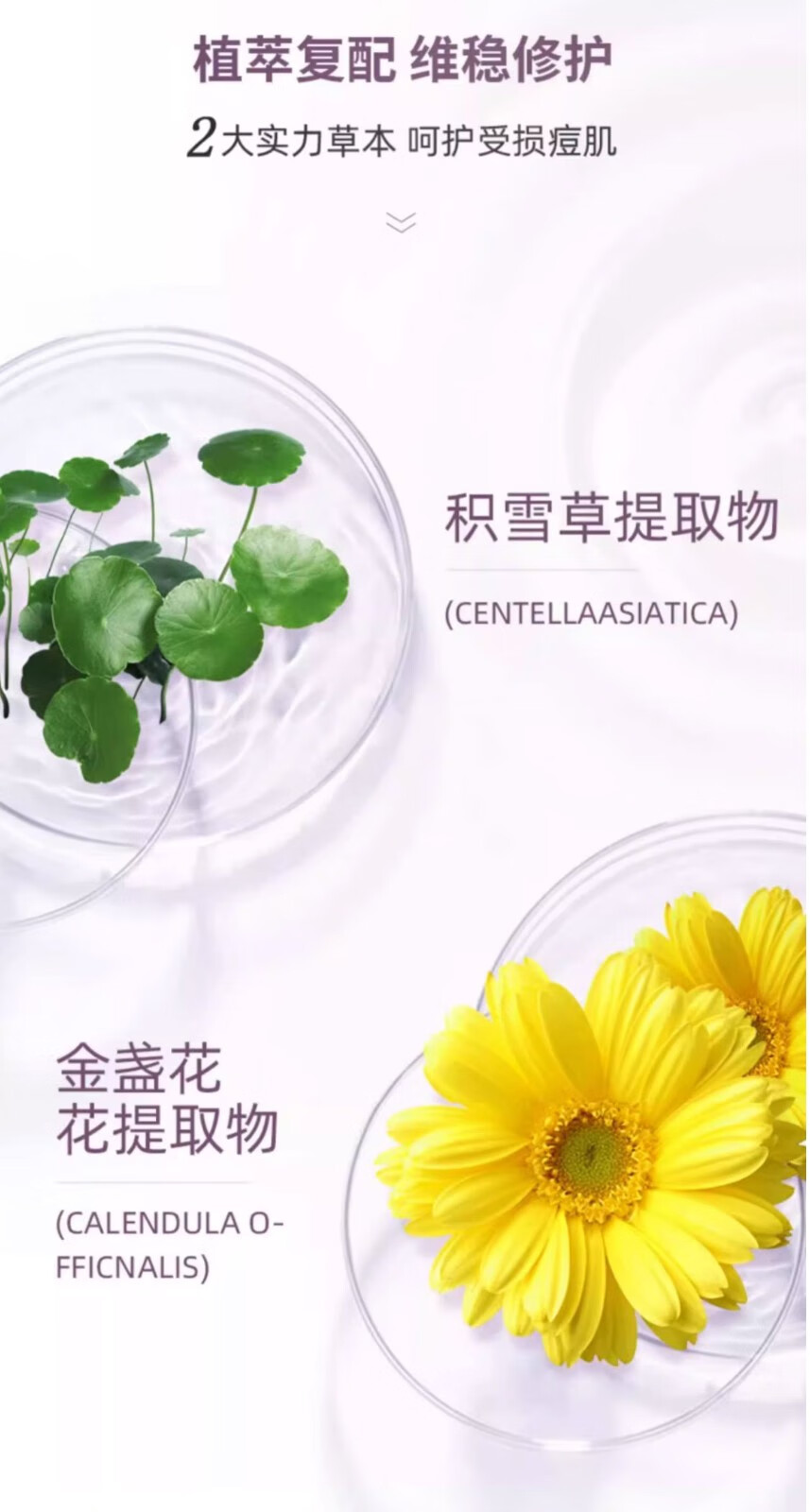 敷尔佳 清痘净肤修护贴26g*5片 清痘净肤清痘 补水保湿 清痘面膜 5片*1盒【可查防伪】