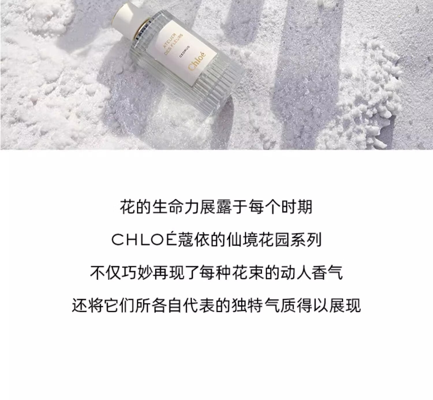 蔻依（Chloe）仙境花园系列香氛香水 持久留香 生日礼物送女友生日新年礼物 北国雪松女士香水 50ML