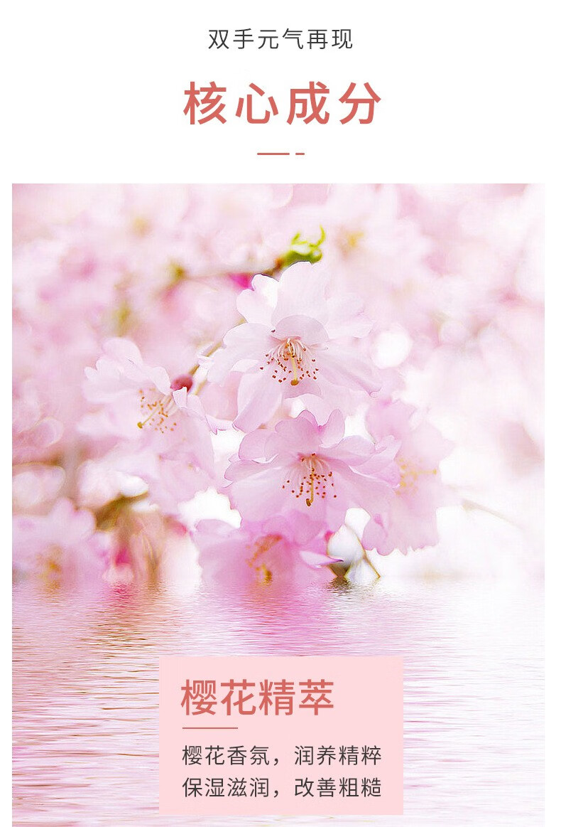 黎芙莎（LIFUSHA）护手霜女男学生滋润长效保湿补水干裂手干燥粗糙非i马油膏 樱花护手霜100ml/支