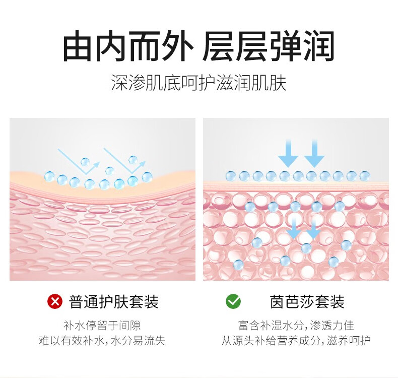 Andorheal益生元传明酸沁透套装补水保湿节日礼物 鱼子酱套装