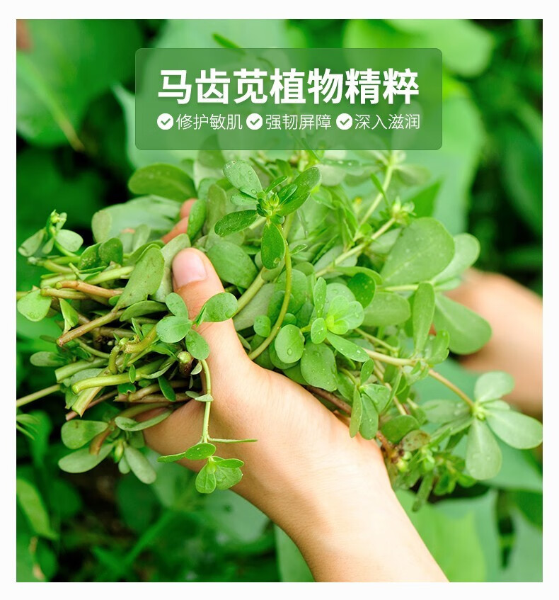 孔凤春 马齿苋爽肤水乳面霜精华面膜舒缓敏感肌肤保湿补水护肤品套装 马齿苋五件套