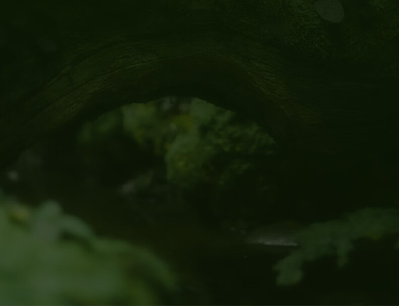 溪木源 愈创木焕能修护祛痘精华液改善油痘敏感肌 15ml