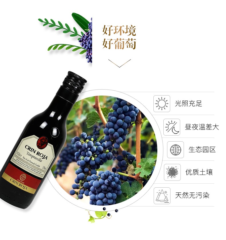 13度西班牙原瓶原装进口红酒整箱烈马庄干红