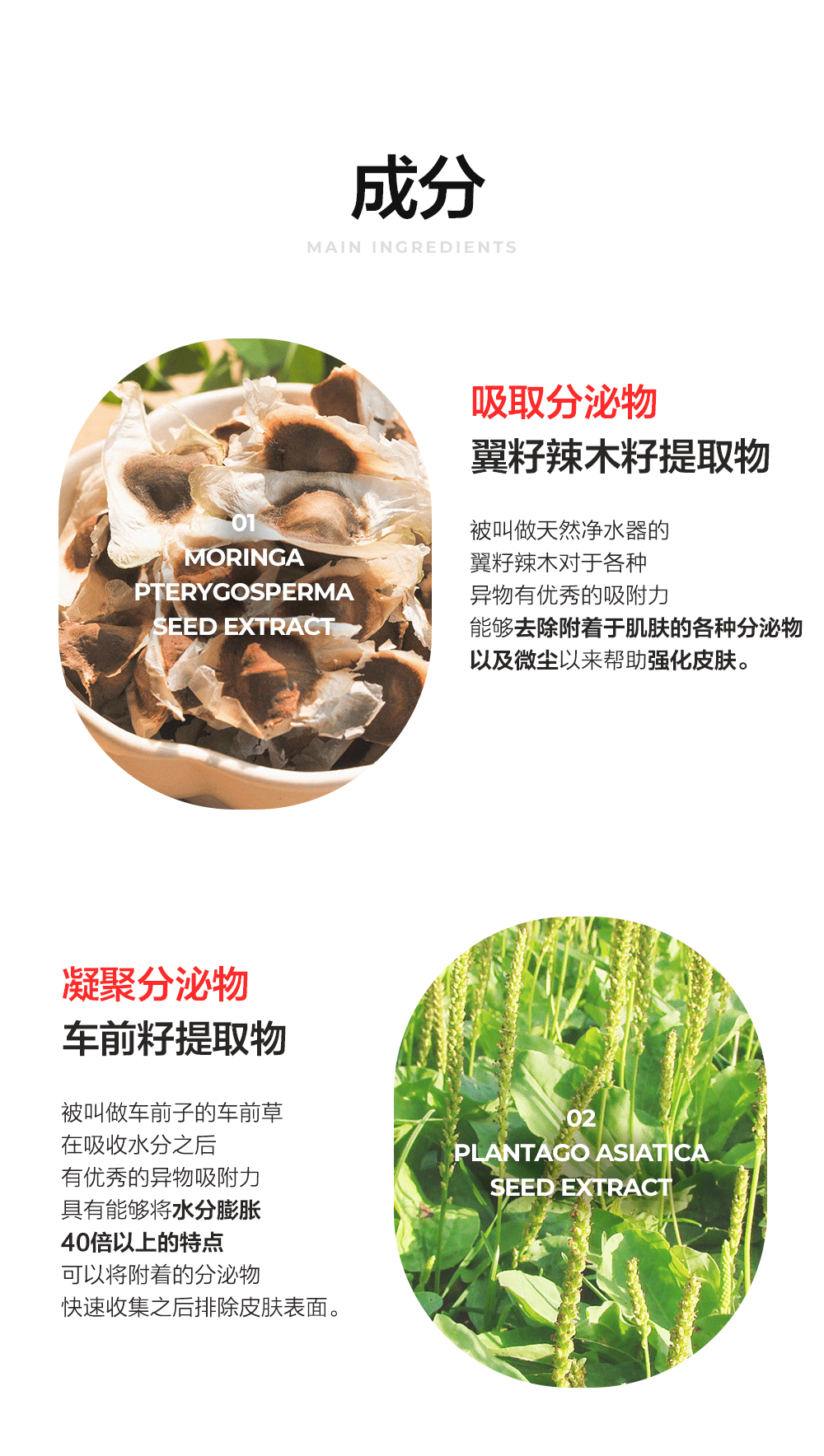 妮珍（NEOGEN）韩国Neogen妮珍去角质洁面慕斯深沉清洁毛孔黑头角质男女面部清洁 洁面慕斯100ml