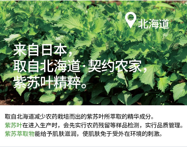 悠斯晶（yuskin）日本紫苏精华保湿乳液170ml 敏感肌修护补水缓解皮肤干燥润肤舒缓修复护肤品 紫苏精华乳液  170ml