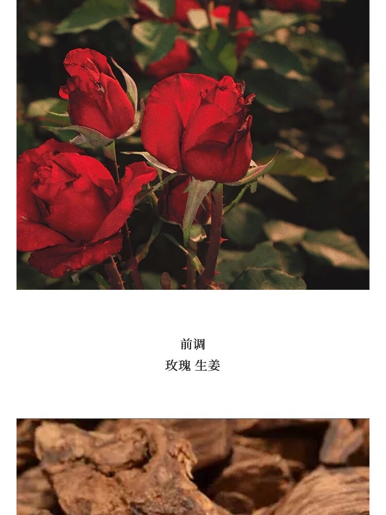 等黎妃（DIGNIFE）忘川绿水男士香水清新持久留香古龙中性淡香水小众冥府之路香氛