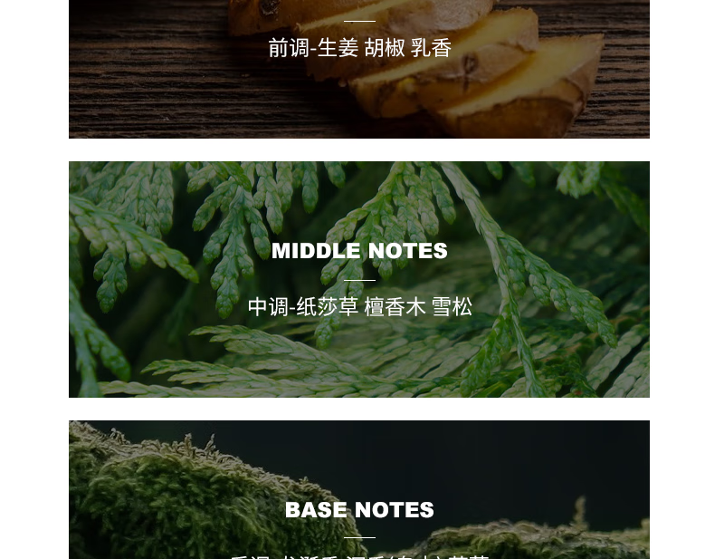 宾利（Bentley）黑色尊爵男士浓香水 送男朋友生日节日礼物七夕情人节礼物 黑色尊爵 100ml