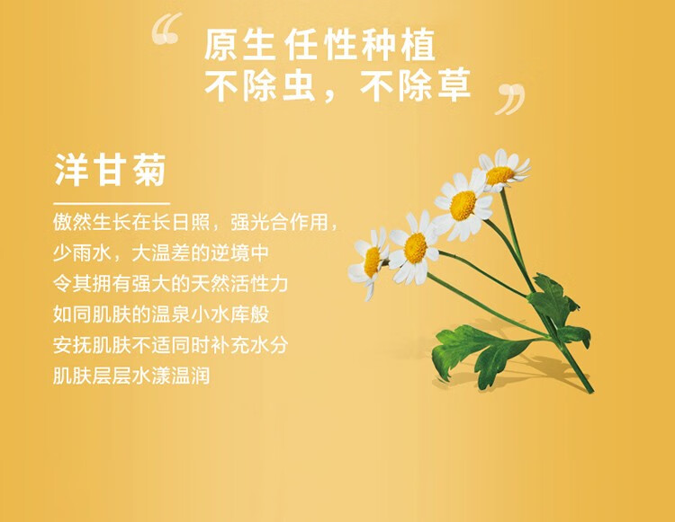 自然之名自然之名酵母面膜洋甘菊补水保湿面膜女护肤品水润舒缓补水学生 玻尿酸20片