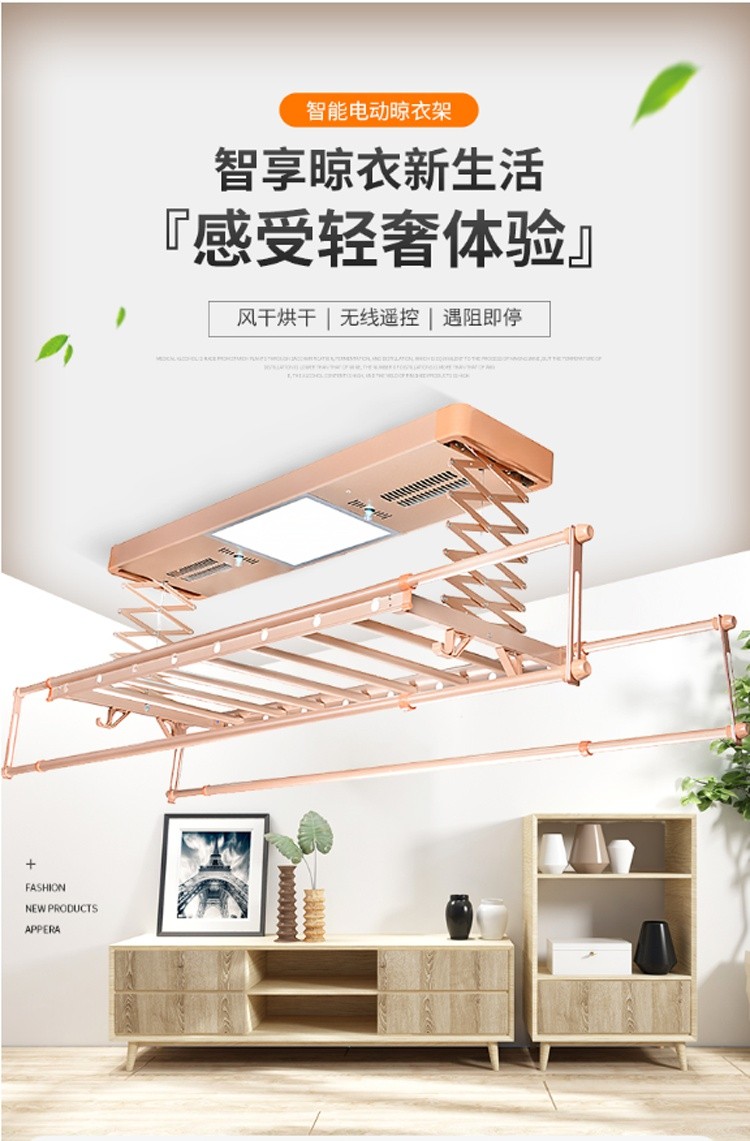 电动晾衣架自动升降阳台室内智能晾衣杆无线遥控伸缩照明杀菌除菌消毒风干烘干机晒衣架晒被子 高雅黑 双杆 遥控升降+LED照明